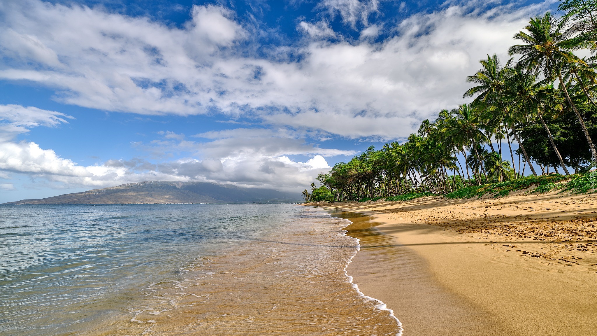 Stany Zjednoczone, Hawaje, Maui, Morze, Plaża, Palmy