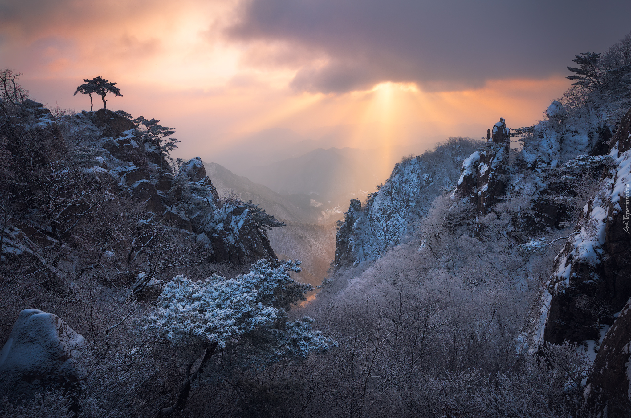 Zima, Góry, Mgła, Drzewa, Przebijające światło, Park prowincjonalny Daedunsan, Jeolla Północna, Korea Południowa