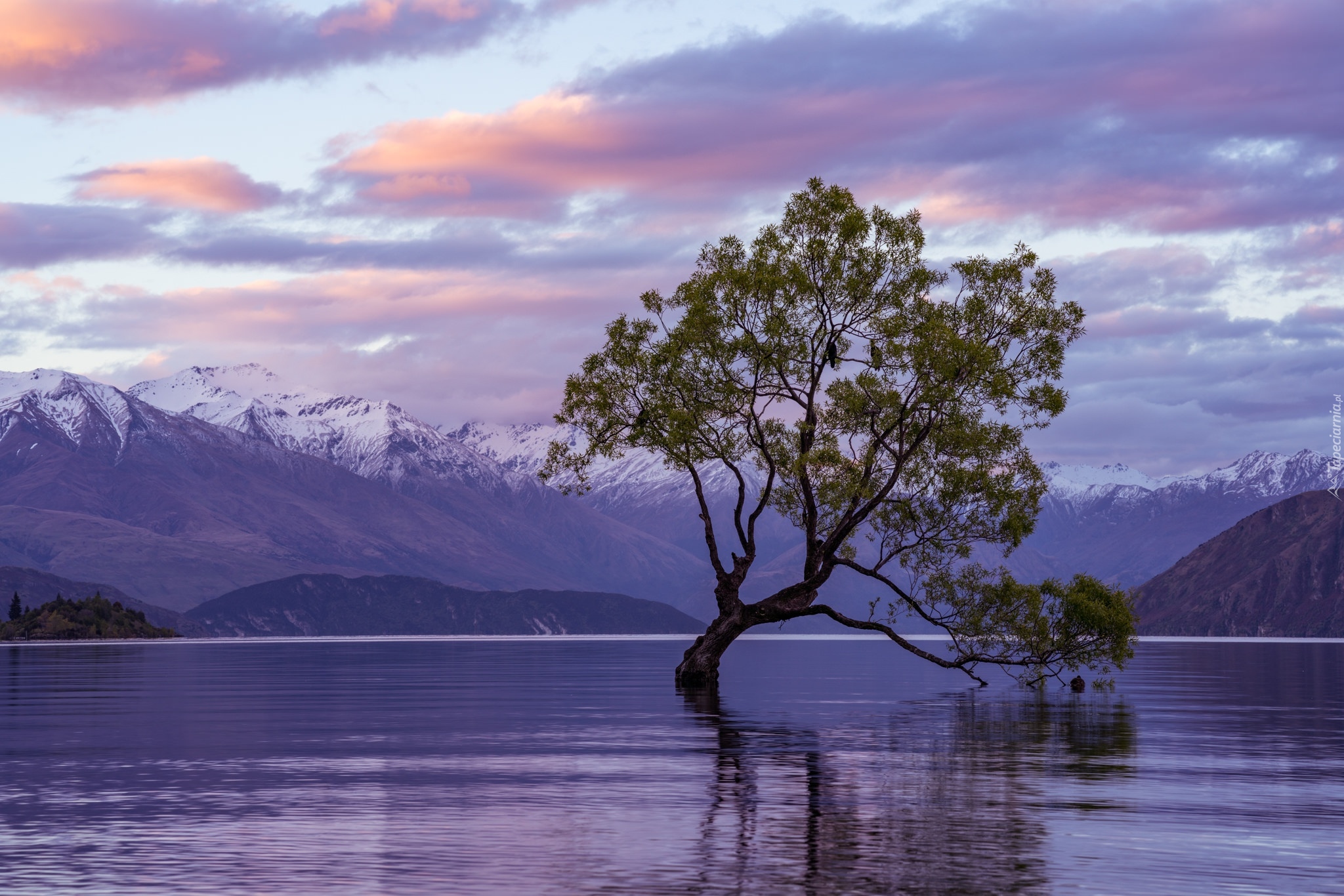 Nowa Zelandia, Jezioro Wanaka, Góry, Pochylone, Drzewo
