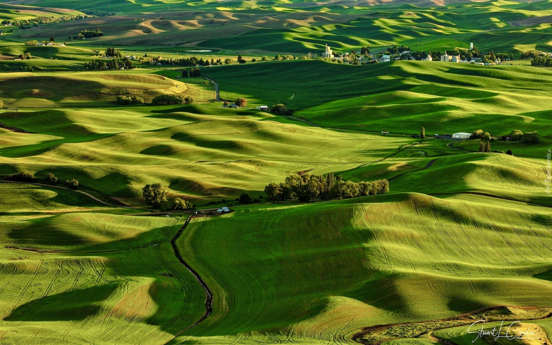 Stany Zjednoczone, Stan Waszyngton, Palouse, Wzgórza, Pola, Łąki, Domy, Drzewa