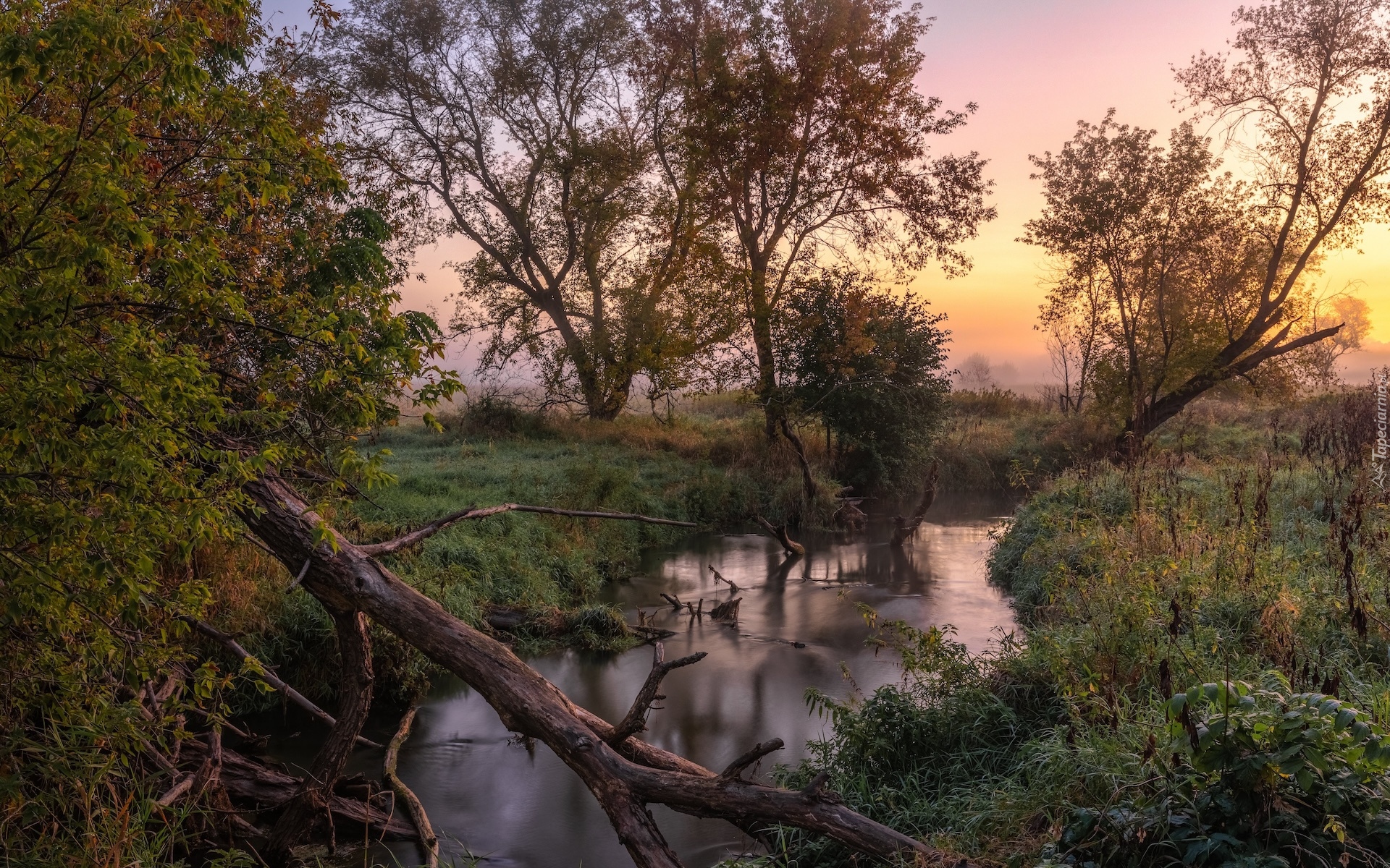 Rzeka, Wschód słońca, Drzewa, Konary