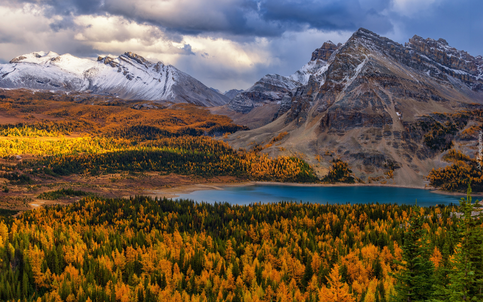 Kanada, Alberta, Góry Skaliste, Jesień, Góry, Drzewa, Pożółkłe, Jezioro, Magog Lake, Chmury