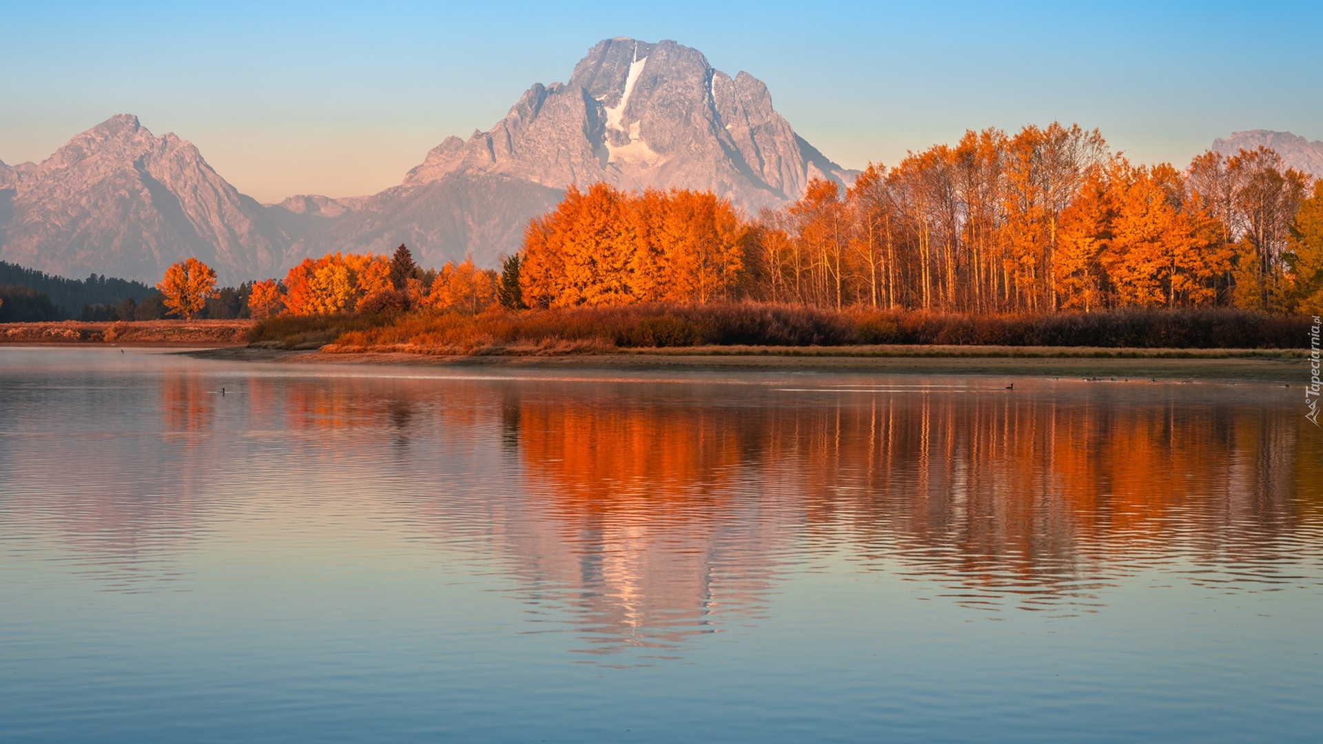 Jesień, Park Narodowy Grand Teton, Rzeka, Snake River, Góry, Teton Range, Drzewa, Jesień, Stan Wyoming, Stany Zjednoczone