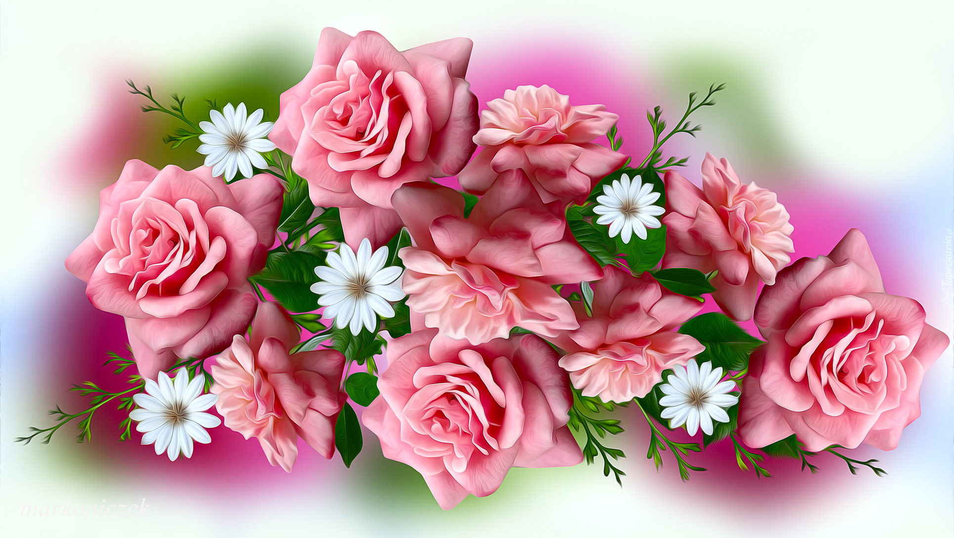 Kwiaty, Różowe, Róże, Grafika 2D