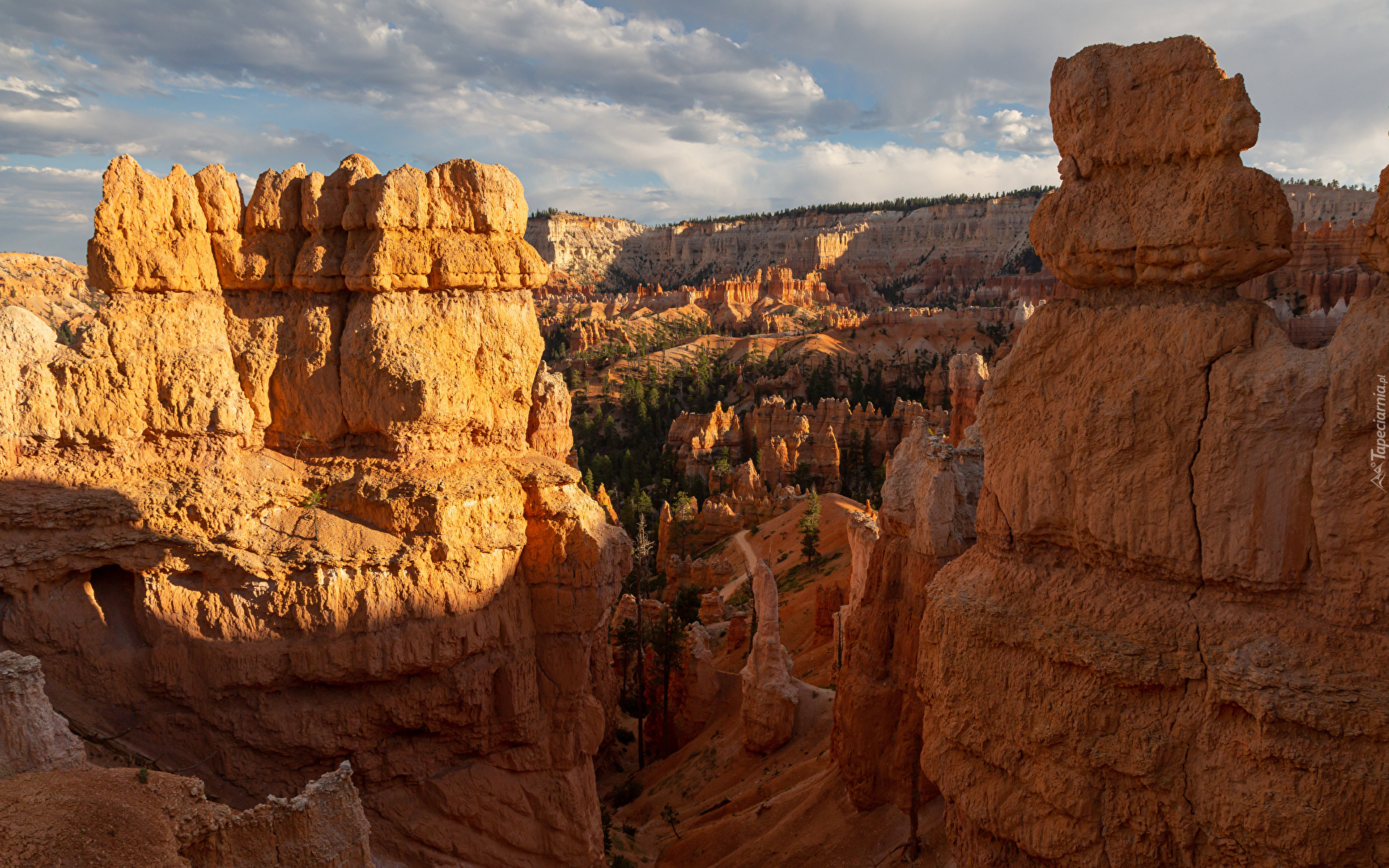 Park Narodowy Bryce Canyon, Skały wapienne, Kanion, Stan Utah, Stany Zjednoczone