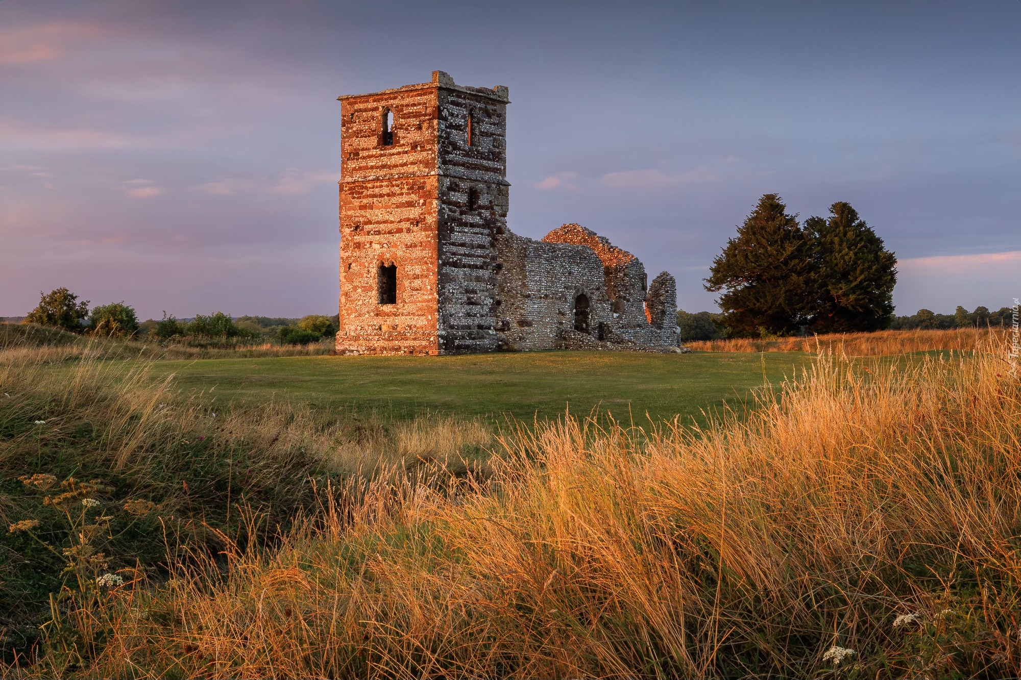 Wielka Brytania, Anglia, Wimborne, Kościół, Knowlton Church, Ruiny, Drzewa, Trawa, Zachód Słońca