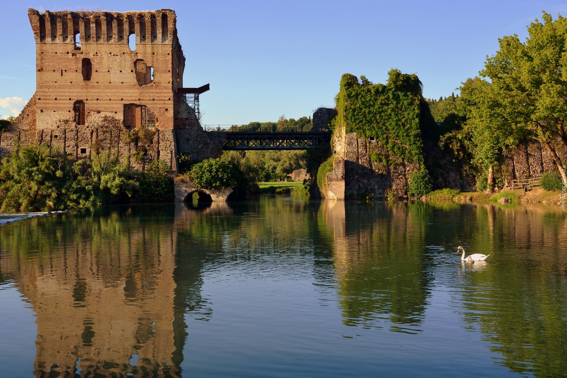Rzeka Mincio, Most, Łabędź, Ruiny, Valeggio sul Mincio, Włochy