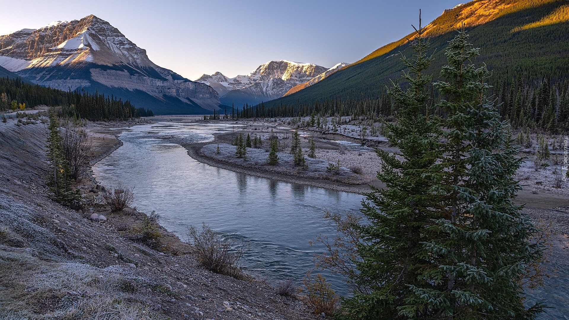 Góry Skaliste, Rzeka, Athabasca, Drzewa, Park Narodowy Jasper, Kanada