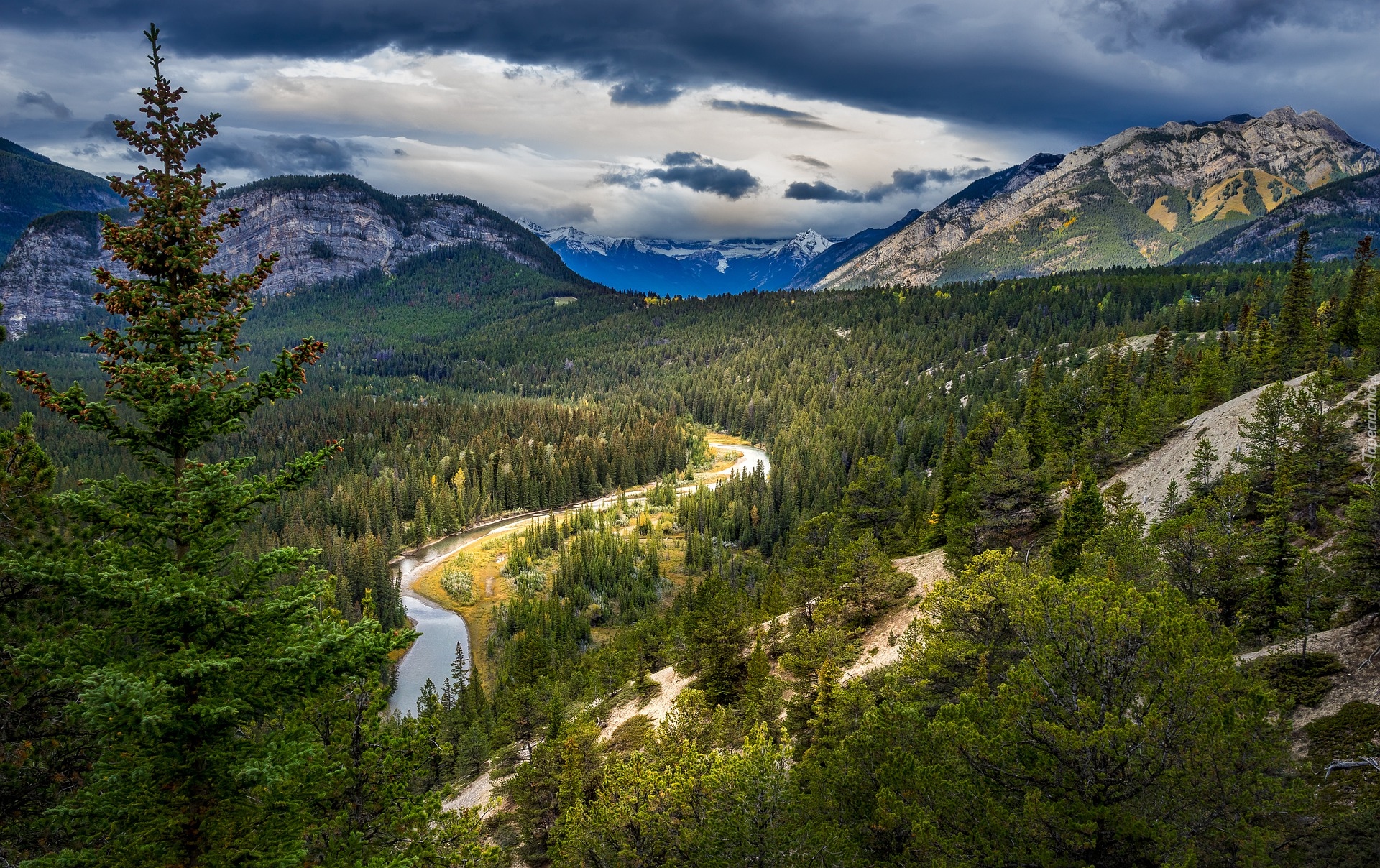 Góry, Las, Rzeka, Bow River, Świerk, Chmury, Park Narodowy Banff, Alberta, Kanada