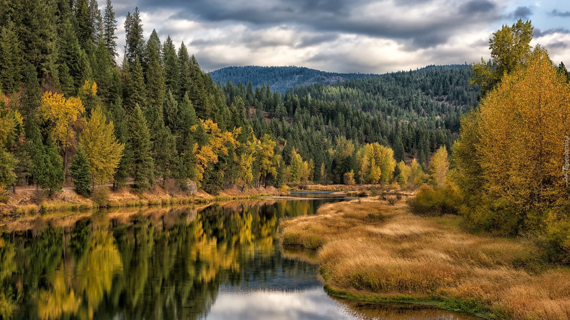 Jesień, Rzeka, Coeur dAlene River, Drzewa, Las, Góry, Hrabstwo Kootenai, Idaho, Stany Zjednoczone