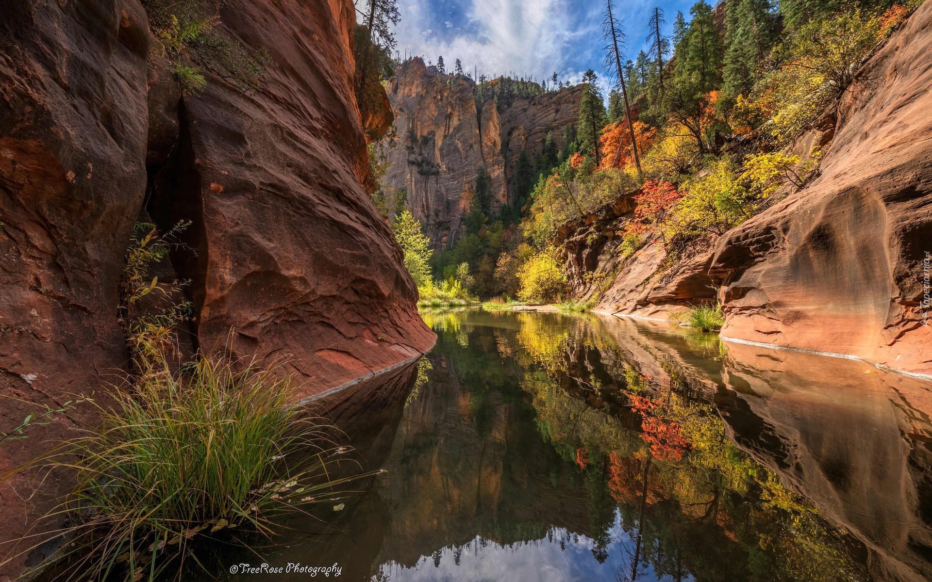 Stany Zjednoczone, Arizona, Sedona, Skały, Wąwóz, Rzeka, West Fork of Oak Creek, Drzewa