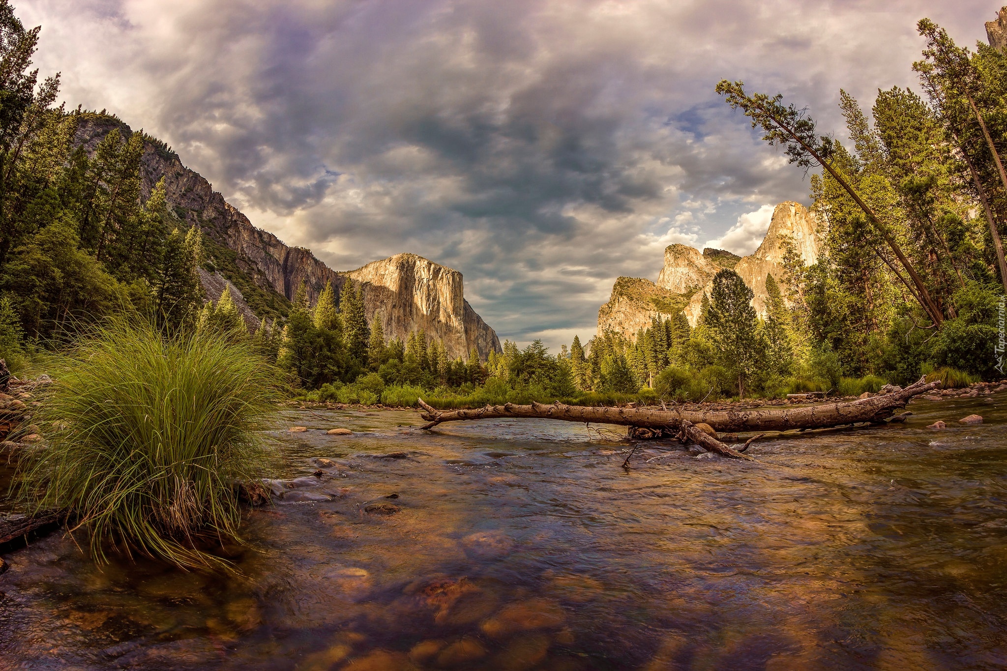 Stany Zjednoczone, Kalifornia, Park Narodowy Yosemite, Góry, Rzeka Merced, Kamienie, Rośliny, Drzewa, Suchy konar