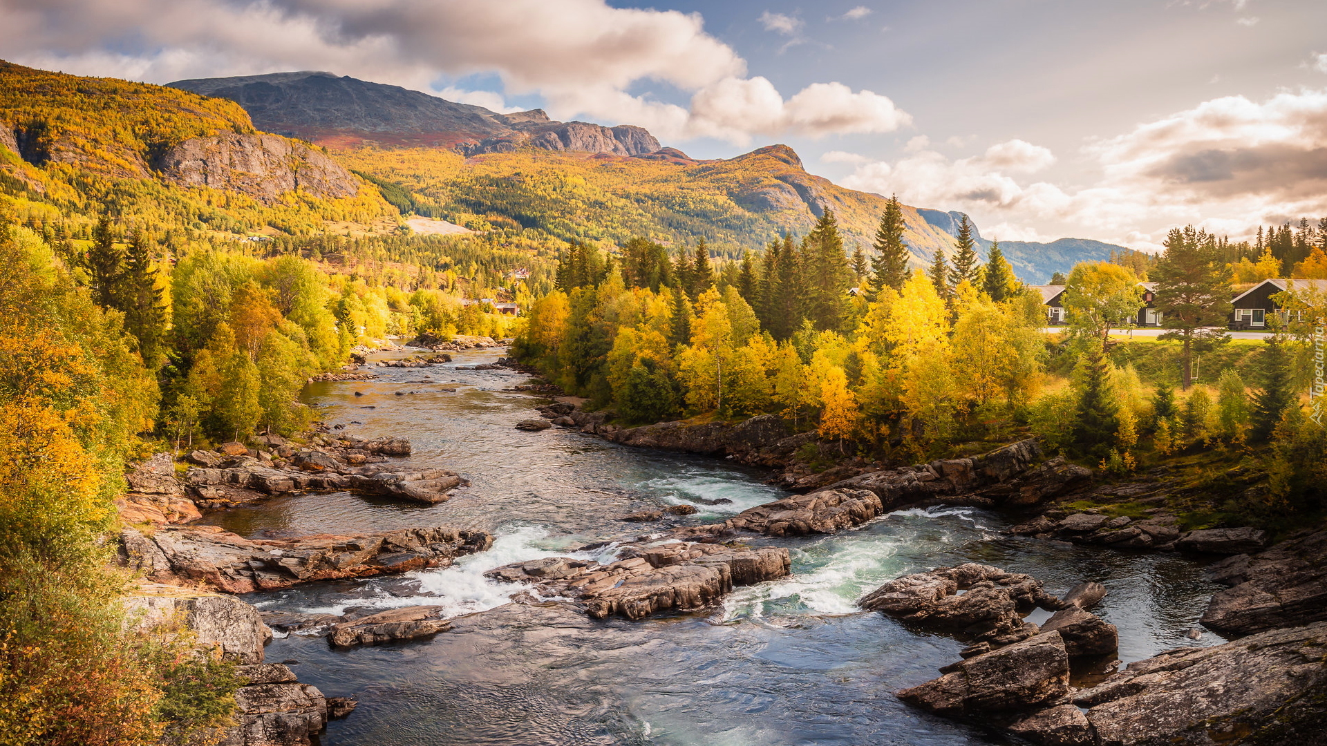 Jesień, Góry, Drzewa, Las, Rzeka, Gmina Hemsedal, Region Buskerud, Norwegia