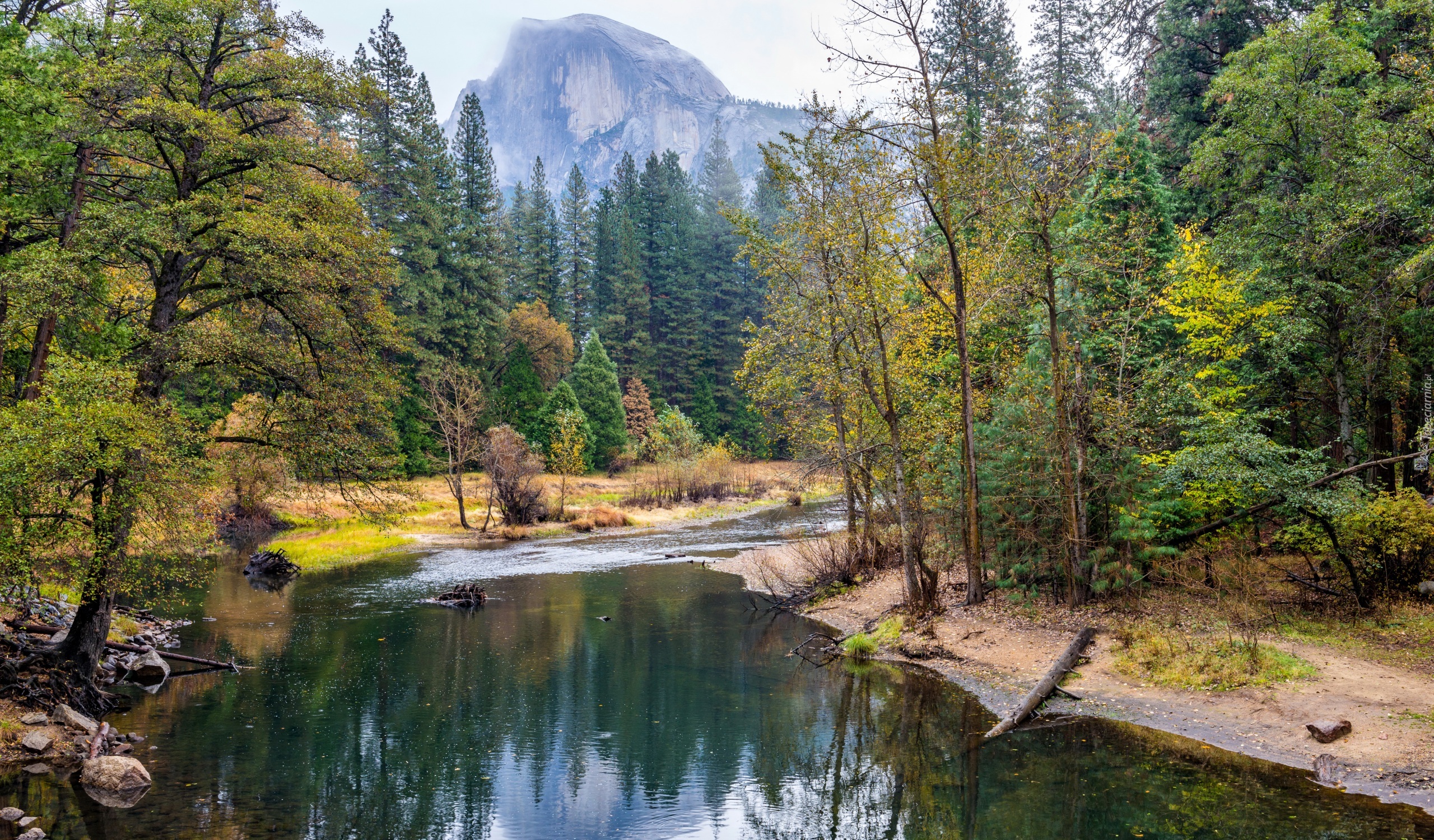 Stany Zjednoczone, Stan Kalifornia, Park Narodowy Yosemite, Las, Rzeka, Góry