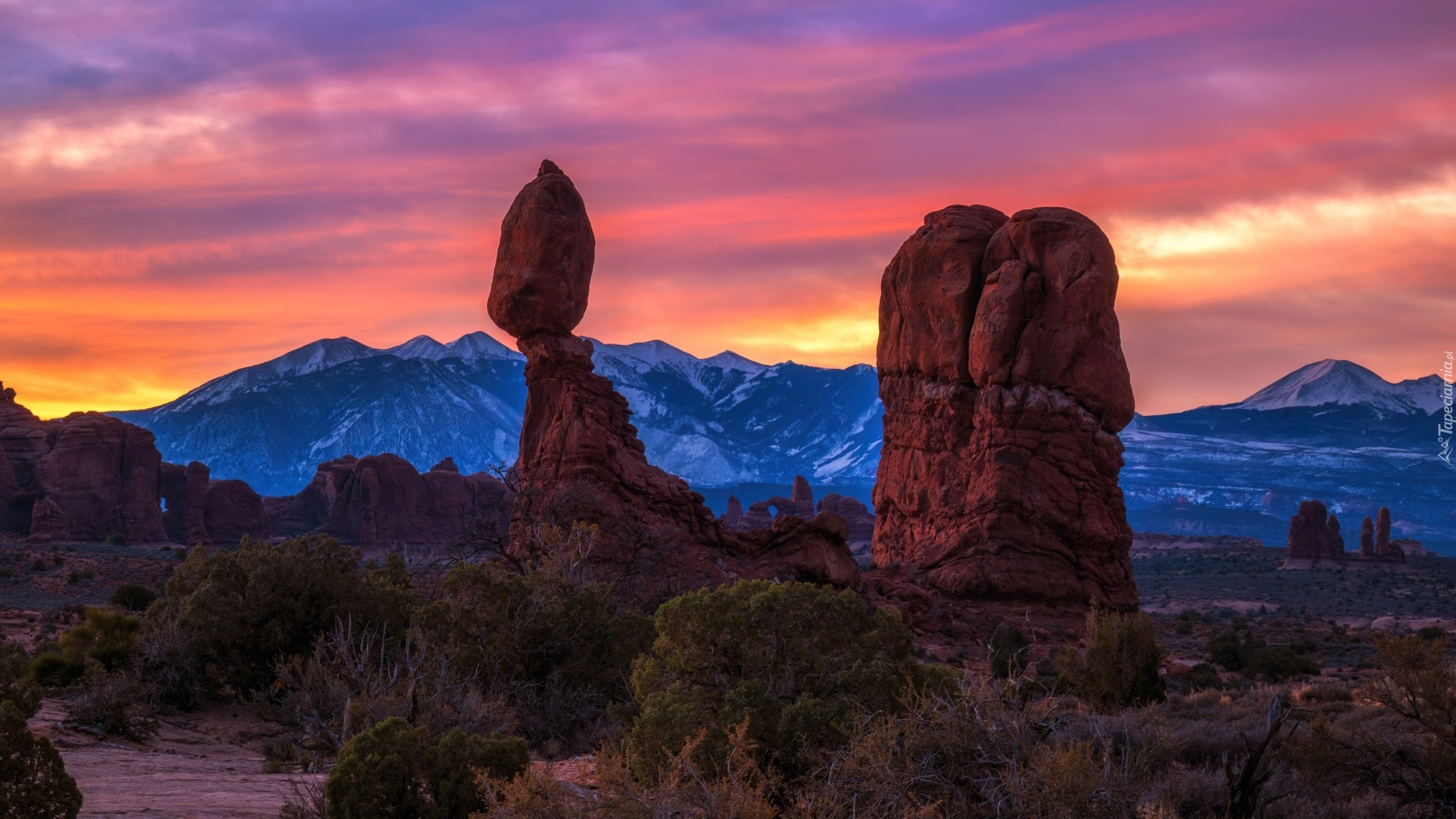 Wschód słońca, Skały, Balanced Rock, Krzewy, Park Narodowy Arches, Utah, Stany Zjednoczone