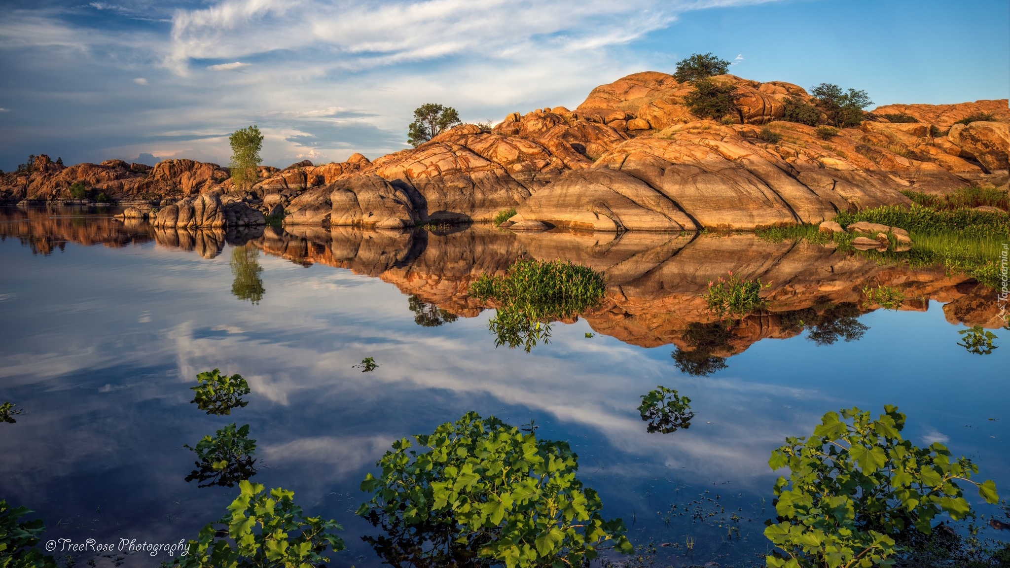 Stany Zjednoczone, Arizona, Skały, Jezioro, Willow Lake, Drzewa