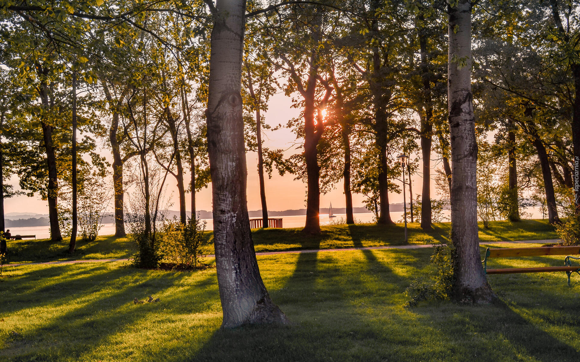 Park, Drzewa, Ławki, Zieleń, Wiosna, Jezioro, Góry, Żaglówka, Promienie, Zachód słońca