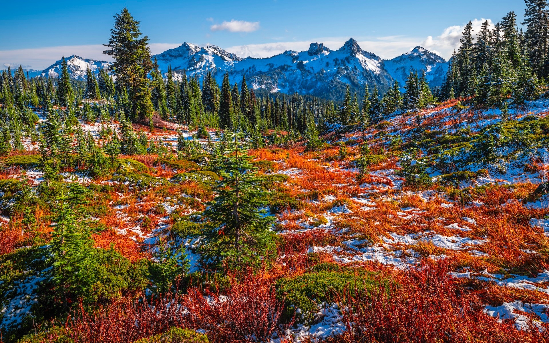 Park Narodowy Mount Rainier, Góry, Tatoosh Range, Łąka, Jesień, Roślinność, Drzewa, Śnieg, Stan Waszyngton, Stany Zjednoczone