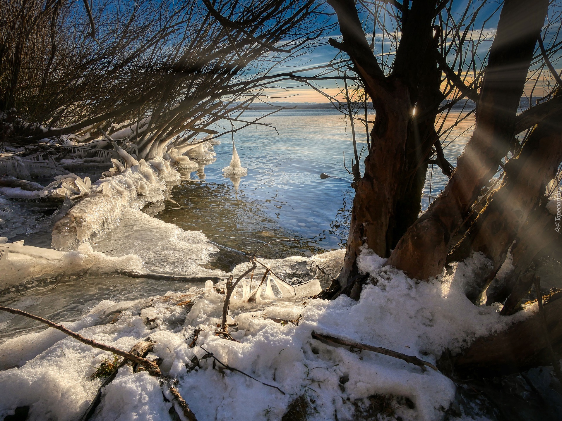 Zima, Krzewy, Drzewa, Sople, Lód, Śnieg, Jezioro Ammersee, Bawaria, Niemcy