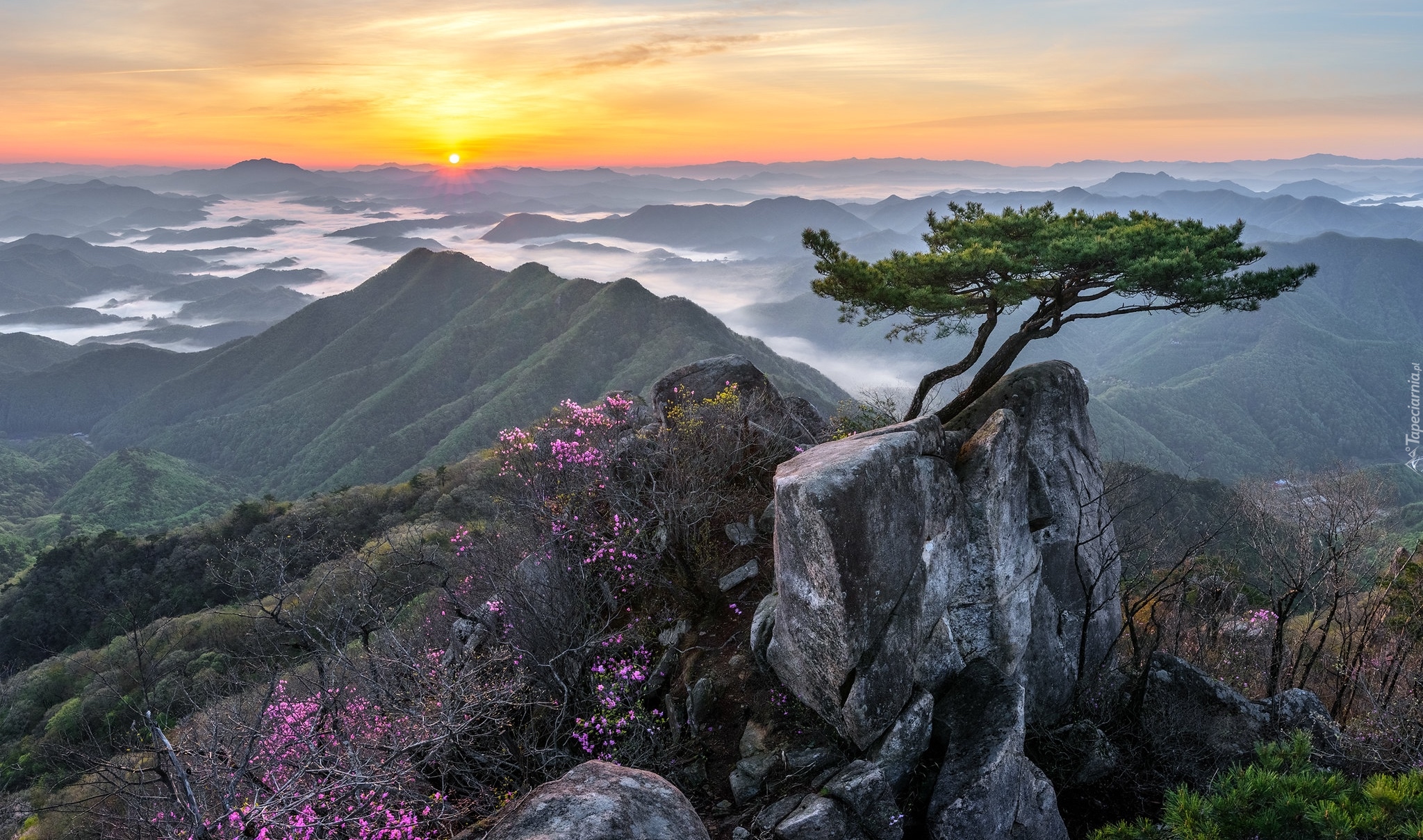 Tapety : Korea Południowa