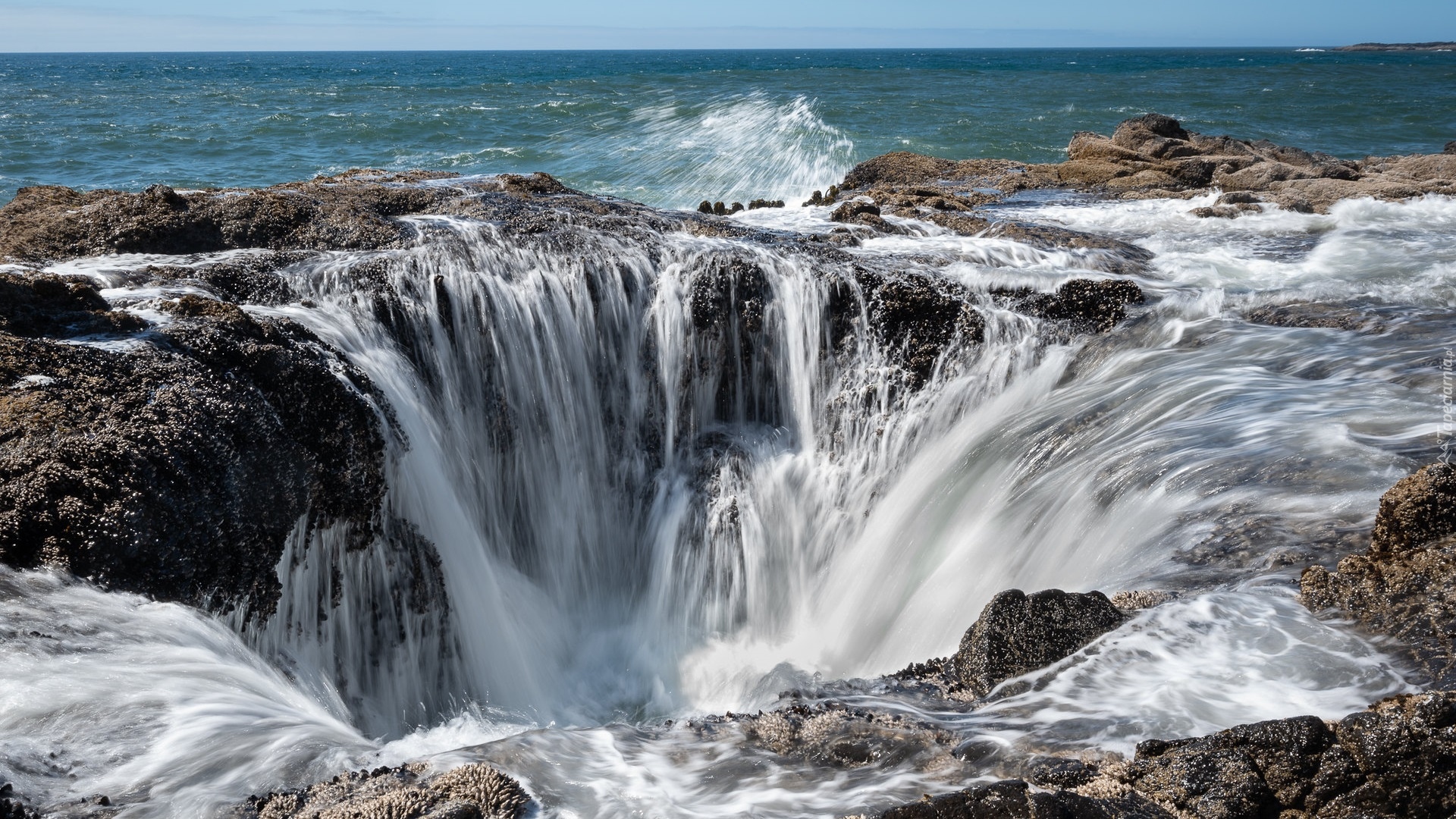 Morze, Wybrzeże, Skały, Studnia Thora, Thors Well, Cape Perpetua, Stan Oregon, Stany Zjednoczone