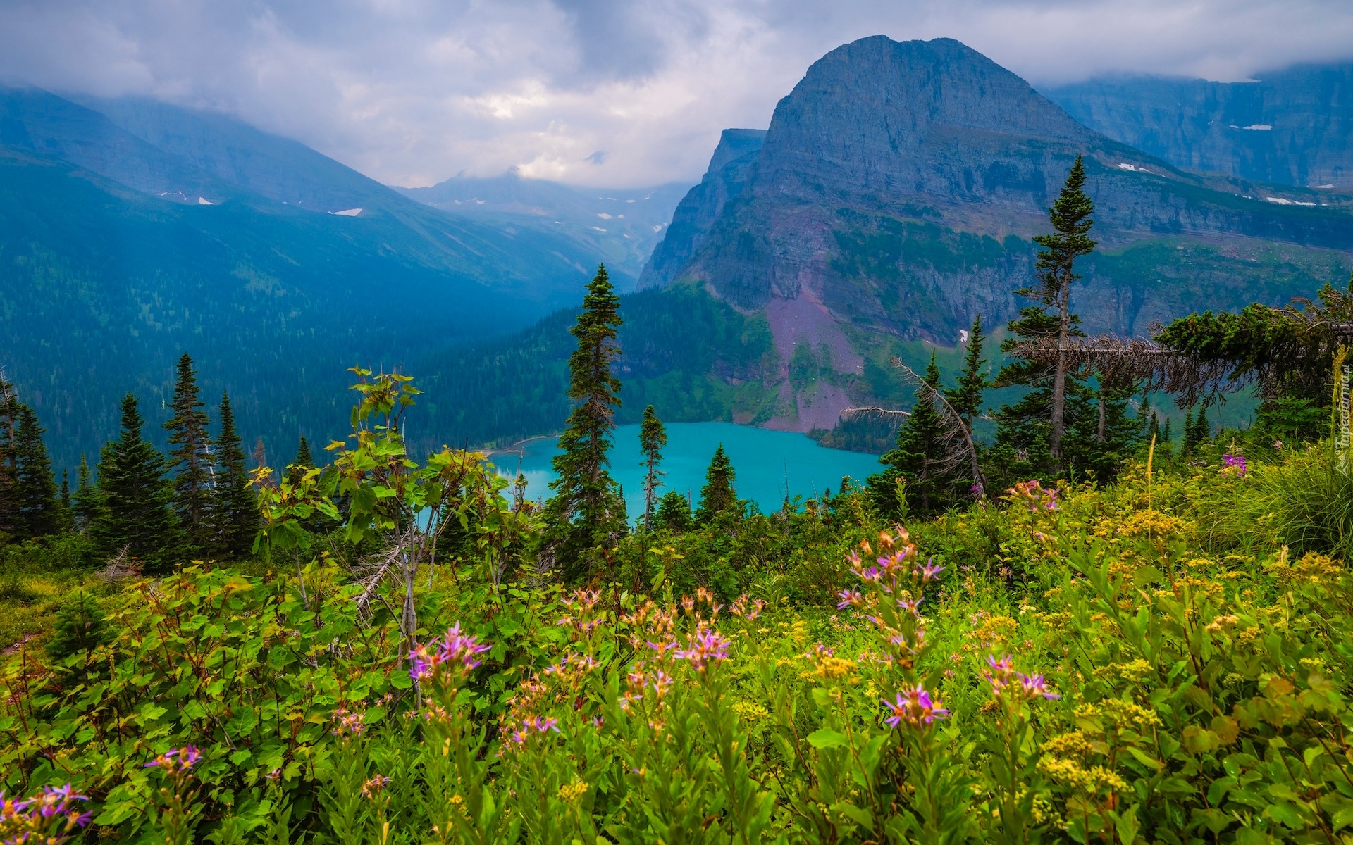 Park Narodowy Glacier, Montana, Stany Zjednoczone, Drzewa, Góry, Jezioro, Grinnell Lake, Łąka, Rośliny, Chmury