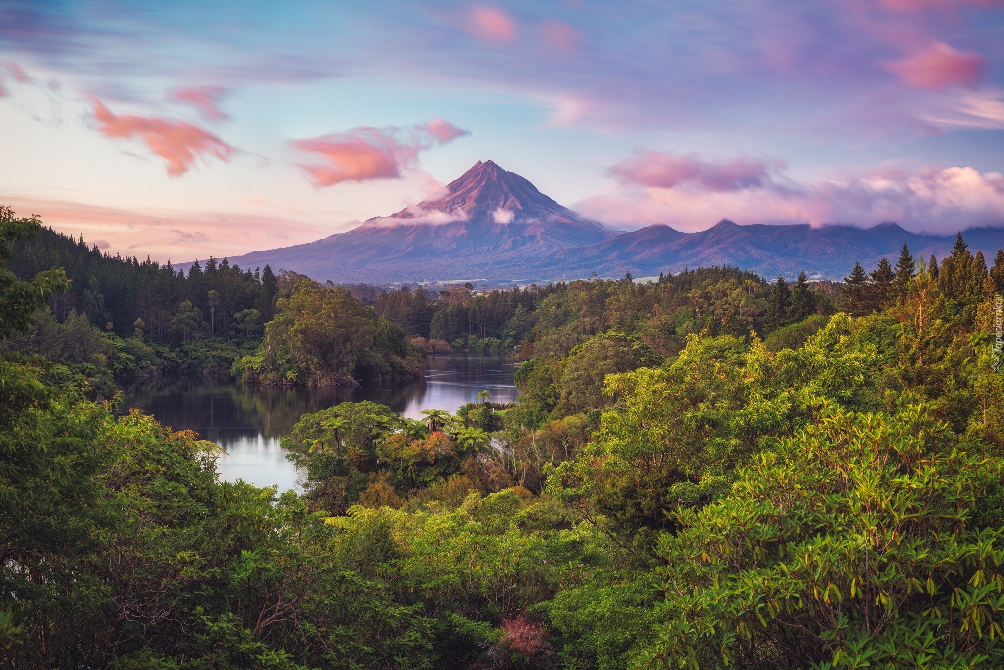 Nowa Zelandia, Wyspa Północna, Park Narodowy Egmont, Góra, Mount Taranaki, Lasy, Drzewa, Rzeka