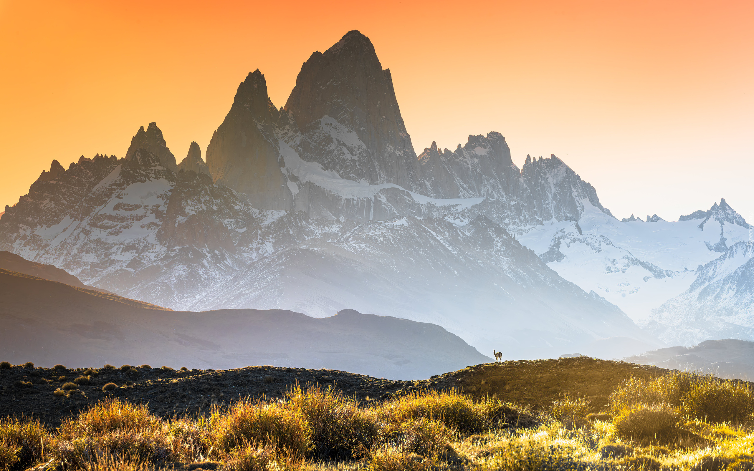 Argentyna, Park Narodowy Los Glaciares, Ośnieżone, Zamglone, Góry, Roślinność