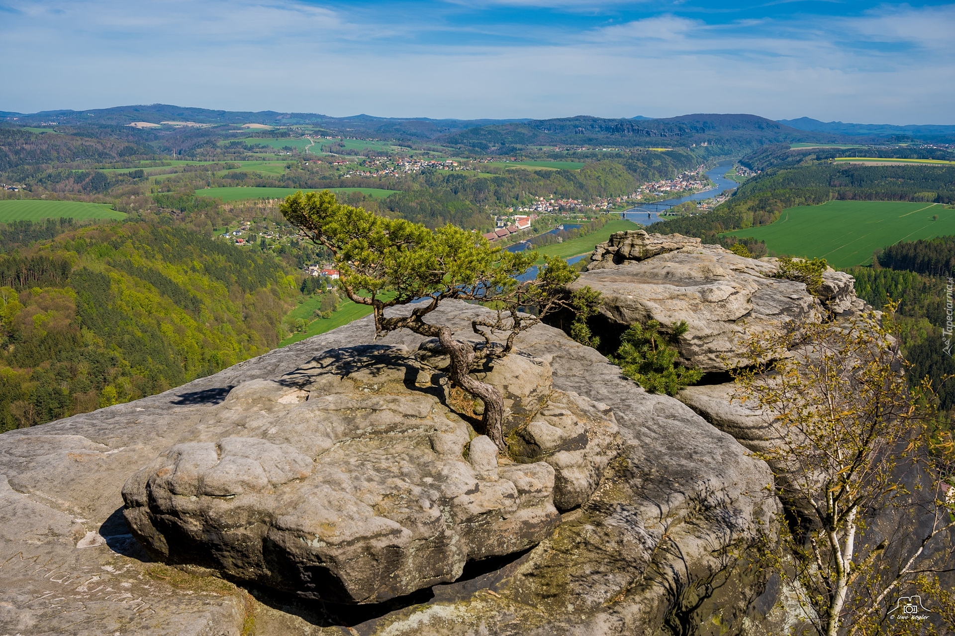 Góra Lilienstein, Drzewo, Skały, Saksońska Szwajcaria, Niemcy