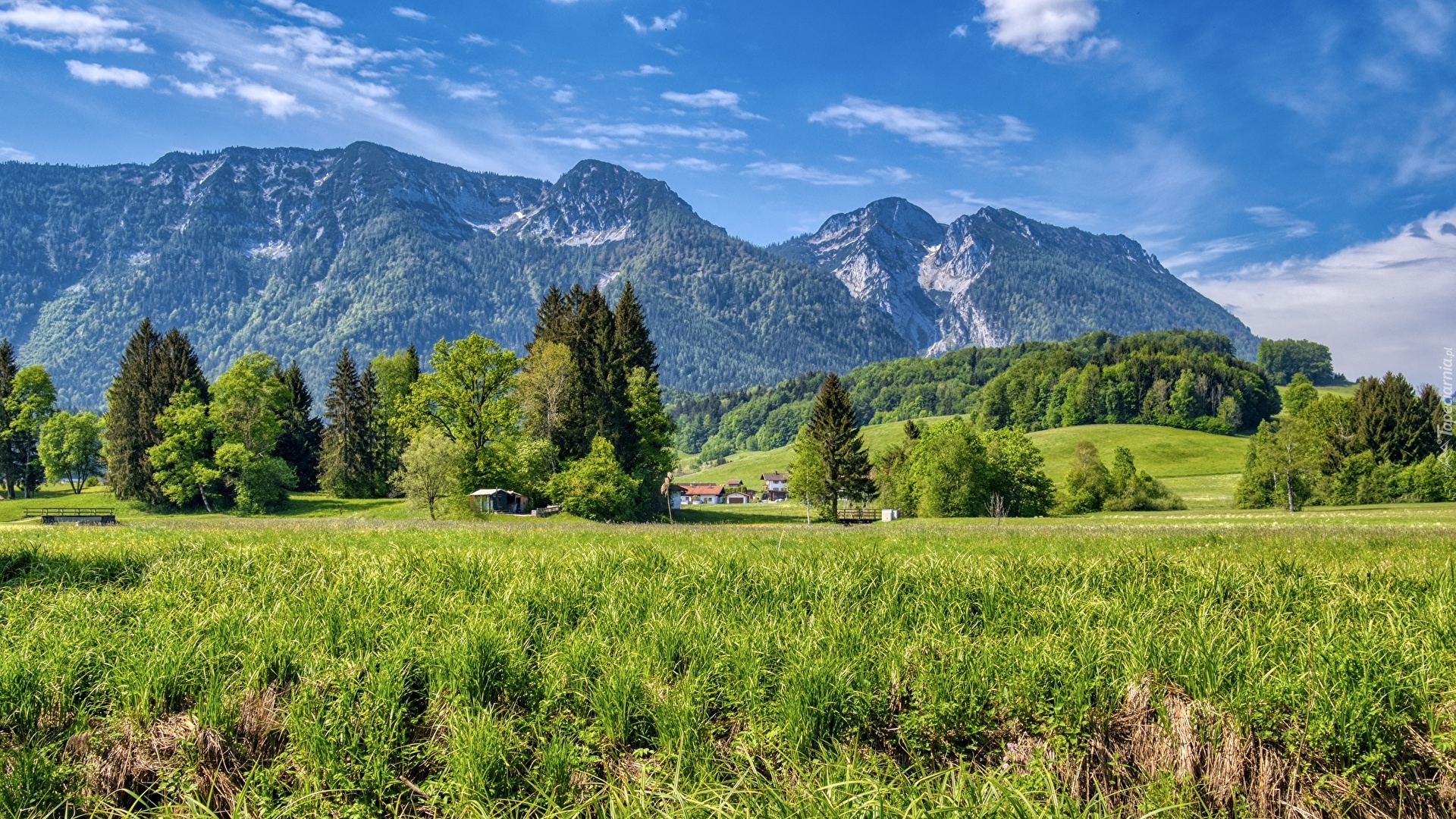 Góry, Bayerische Voralpen, Drzewa, Trawa, Domy, Inzell, Bawaria, Niemcy