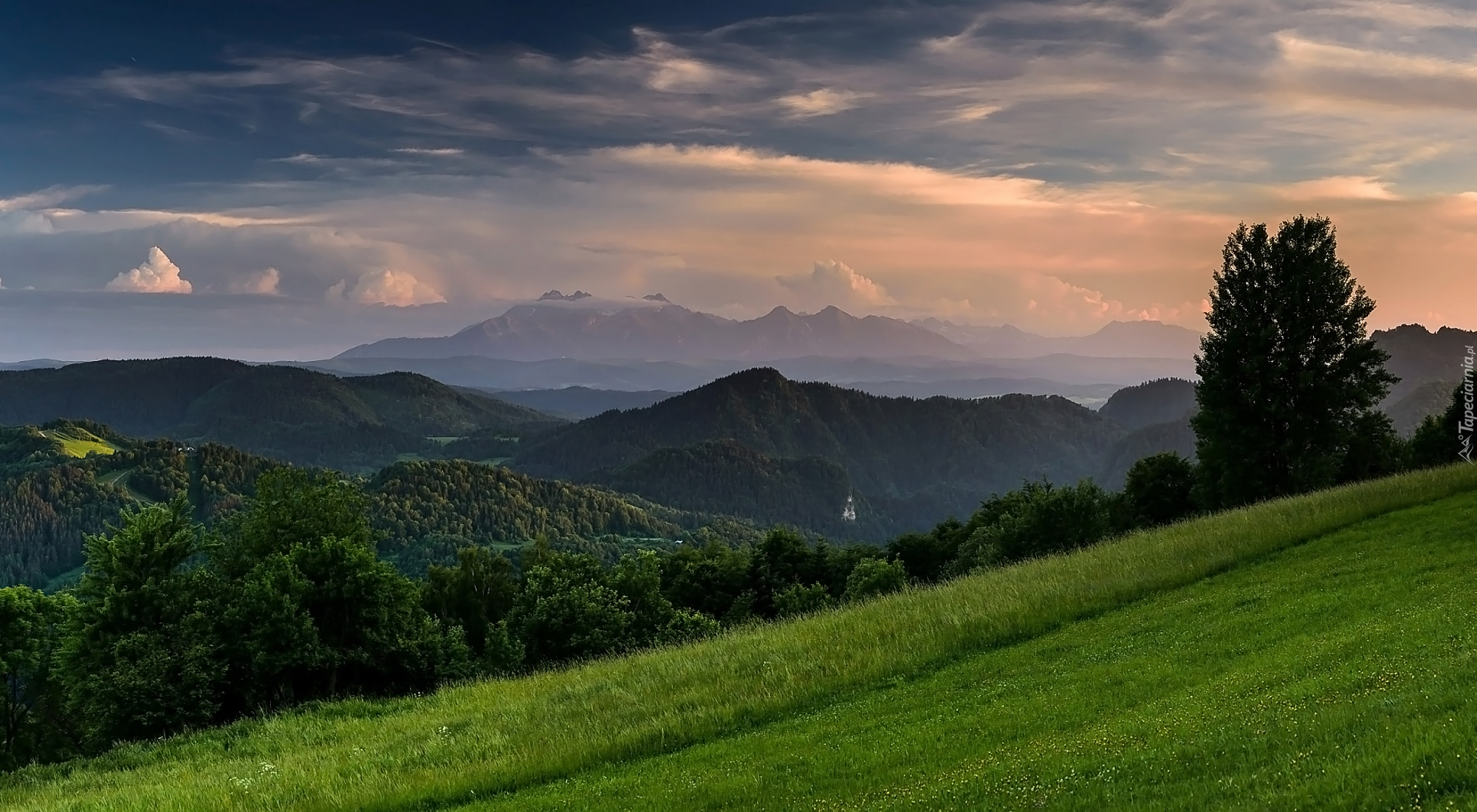 Góry, Drzewa, Łąka, Zielona, Trawa