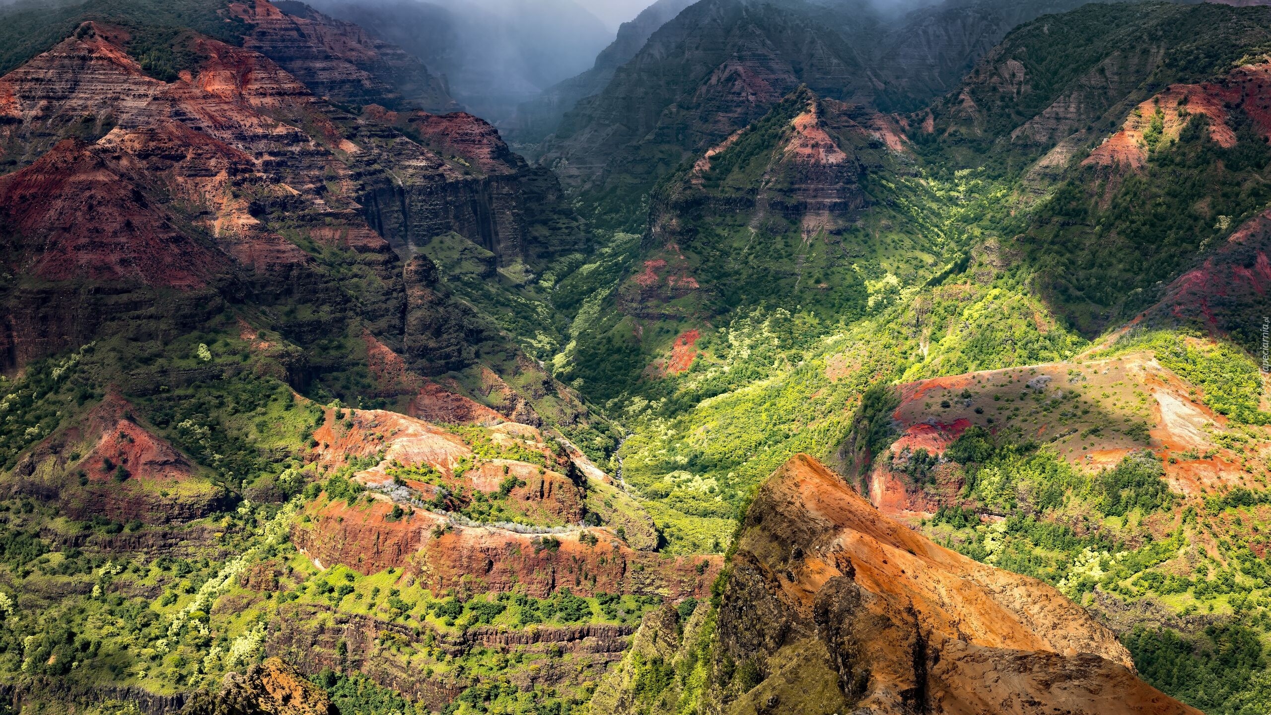 Stany Zjednoczone, Hawaje, Kauai, Waimea Canyon, Kanion, Góry, Doliny