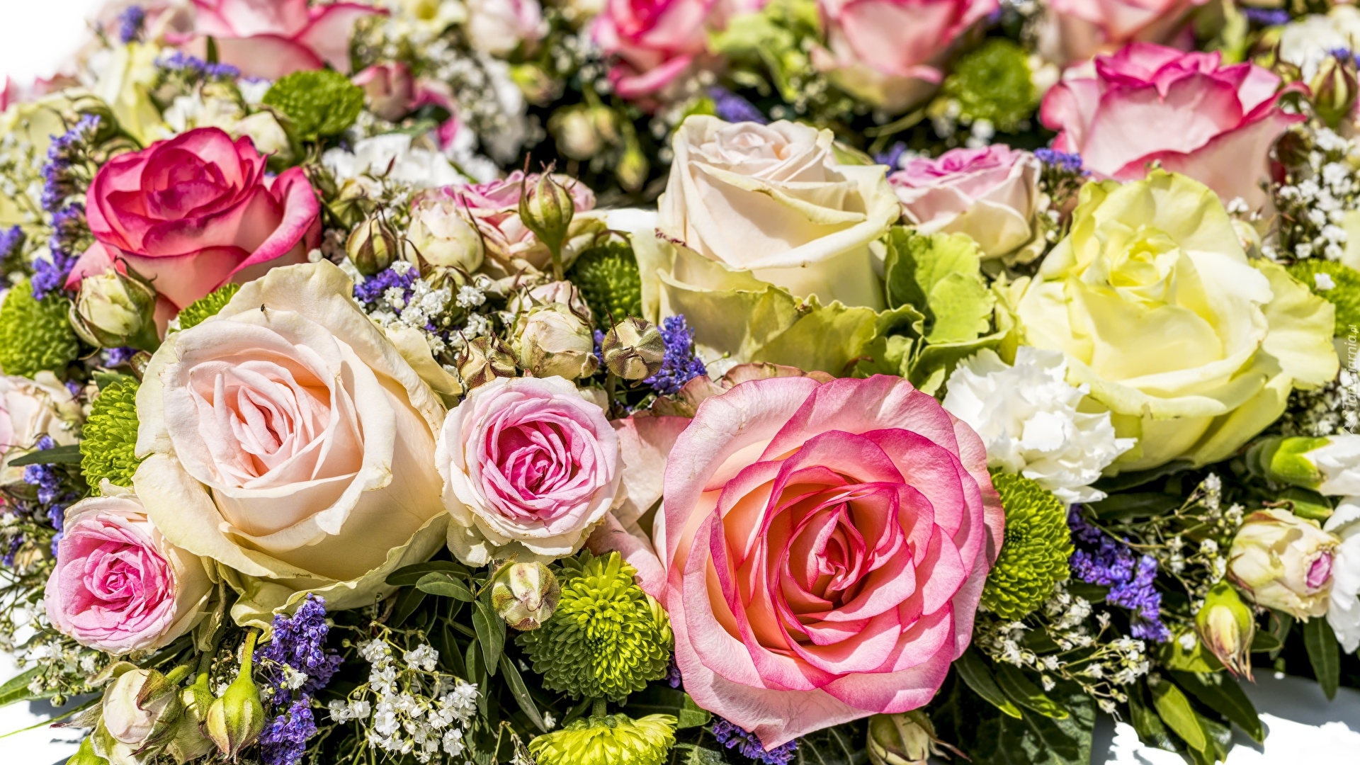 Kwiaty, Róże, Kolorowe, Wielobarwne, Bukiet