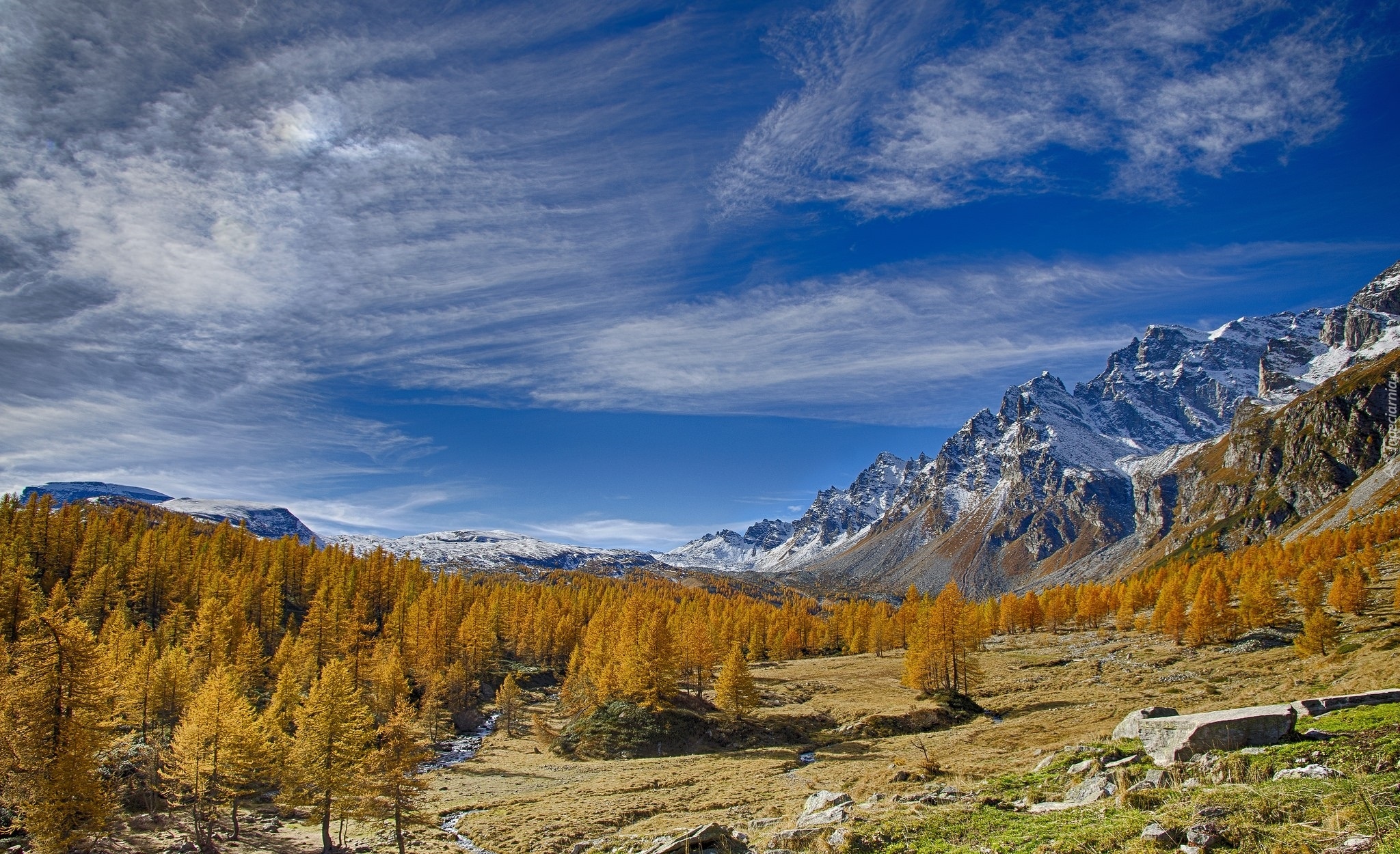 Włochy, Region Piemont, Góry Alpy, Dolina Val Buscagna, Ośrodek narciarski Alpe Devero, Jesień, Drzewa