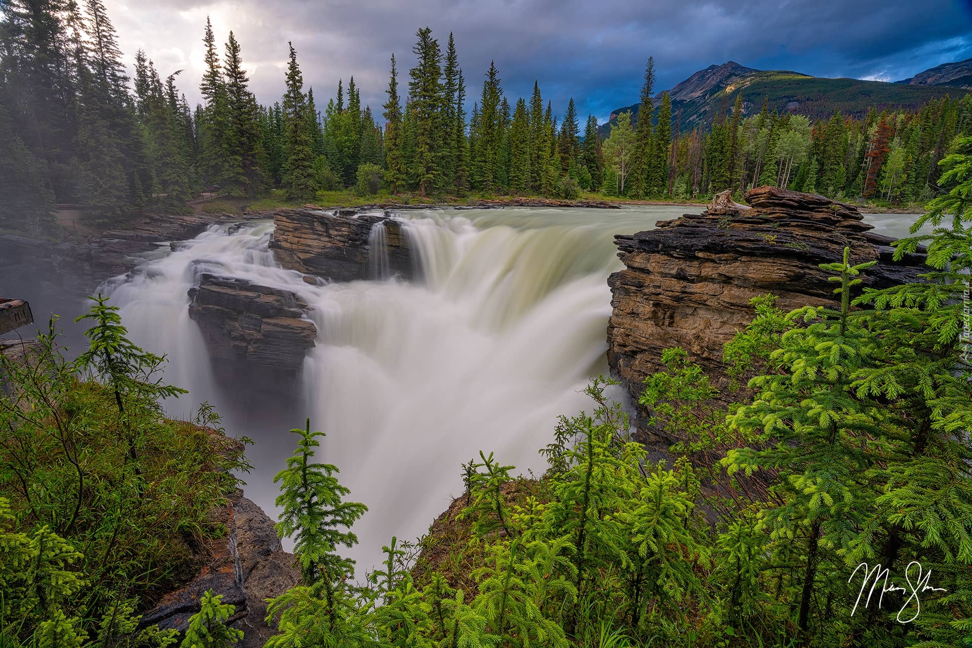 Kanada, Prowincja Alberta, Park Narodowy Jasper, Góry, Drzewa, Świerki, Wodospad Athabasca, Skały