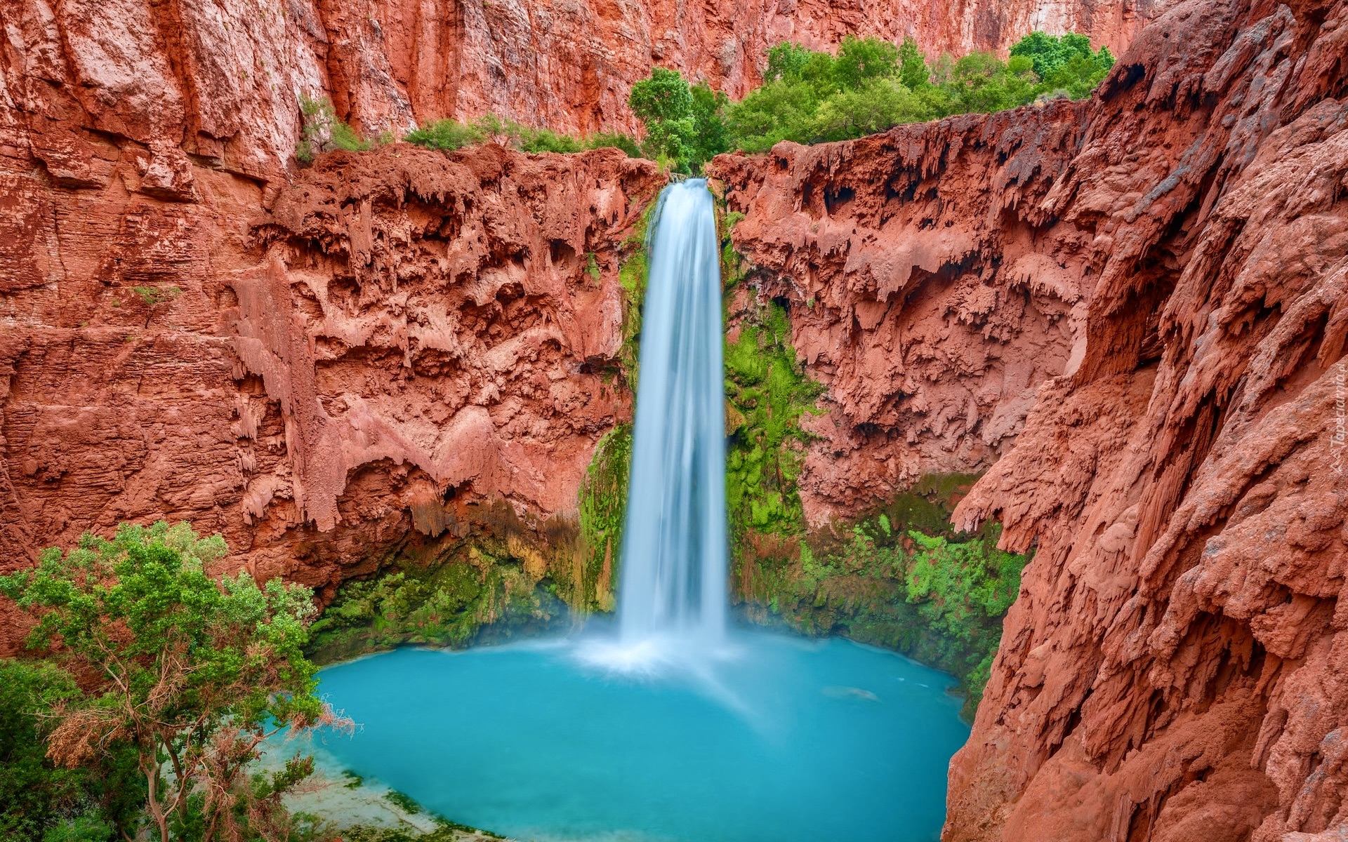 Stany Zjednoczone, Arizona, Park Narodowy Wielkiego Kanionu, Wielki Kanion Kolorado, Drzewa, Skały, Wodospad, Havasu Falls