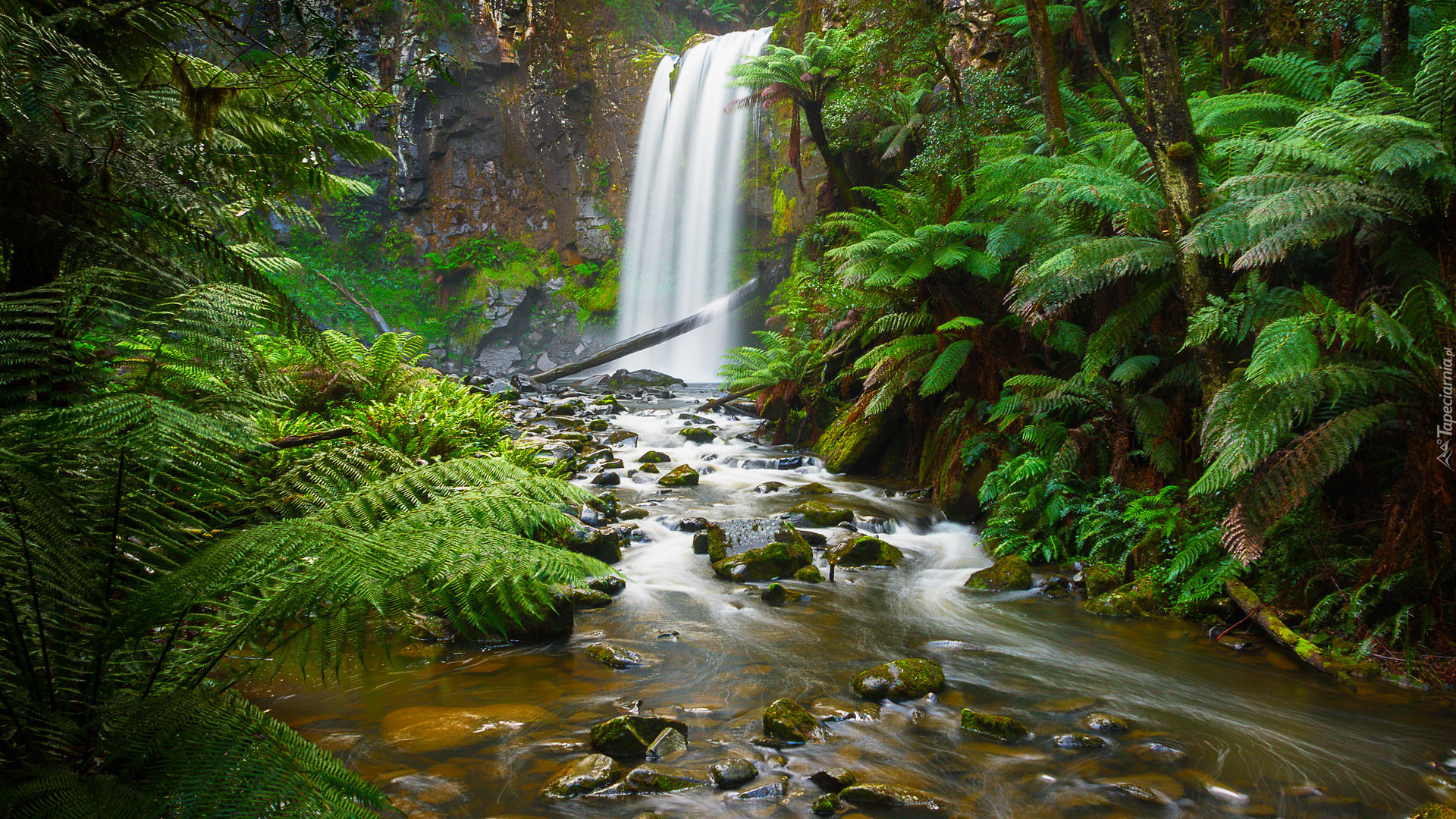 Wodospad, Hopetoun Falls, Park Narodowy Great Otway, Skały, Rzeka, Rośliny, Paprocie, Stan Wiktoria, Australia