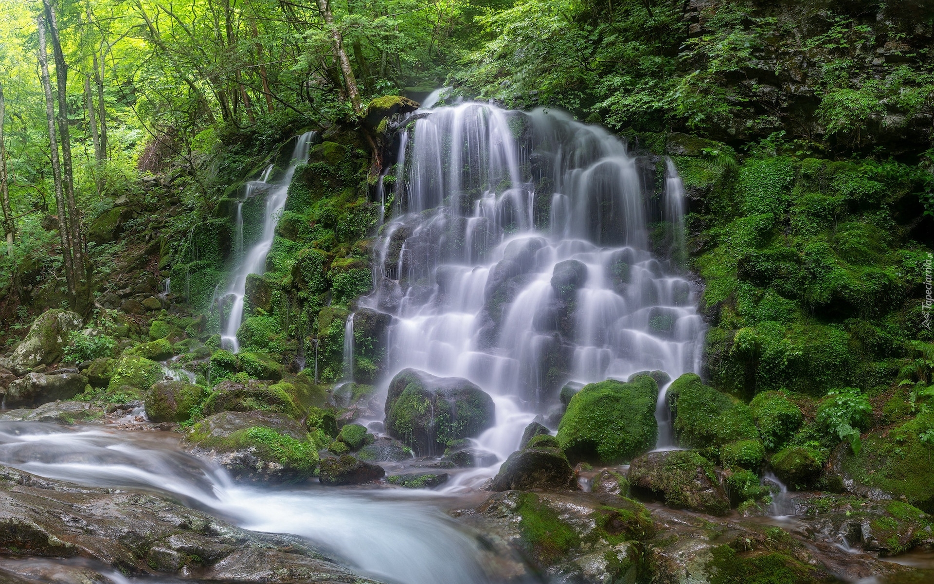 Las, Rzeka, Wodospad, Silbidan Falls, Roślinność, Omszałe, Kamienie, Park Narodowy Jirisan, Korea Południowa