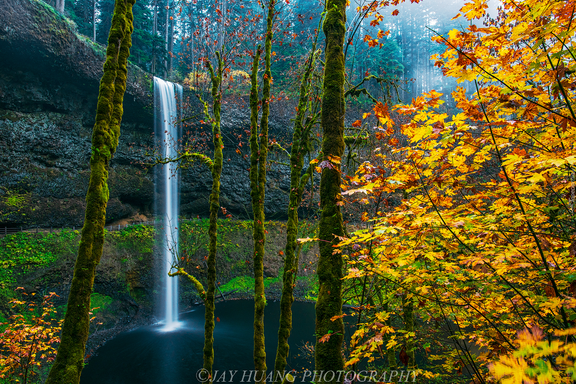 Wodospad South Falls, Las, Drzewa, Jesień, Skała, Park miejski Silver Falls, Oregon, Stany Zjednoczone