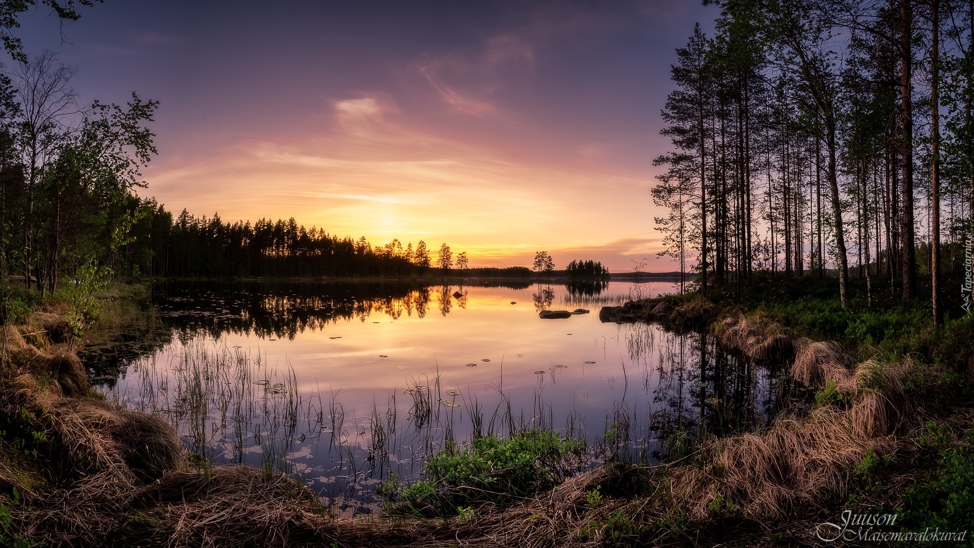 Park Narodowy Helvetinjarvi, Jezioro Haukkajarvi, Drzewa, Zachód słońca, Gmina Ruovesi, Finlandia