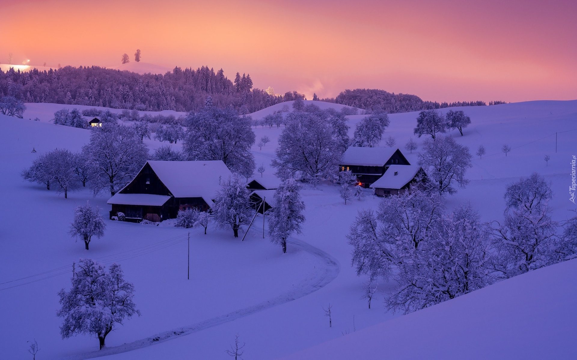 Zima, Góry, Domy, Drzewa, Szwajcaria