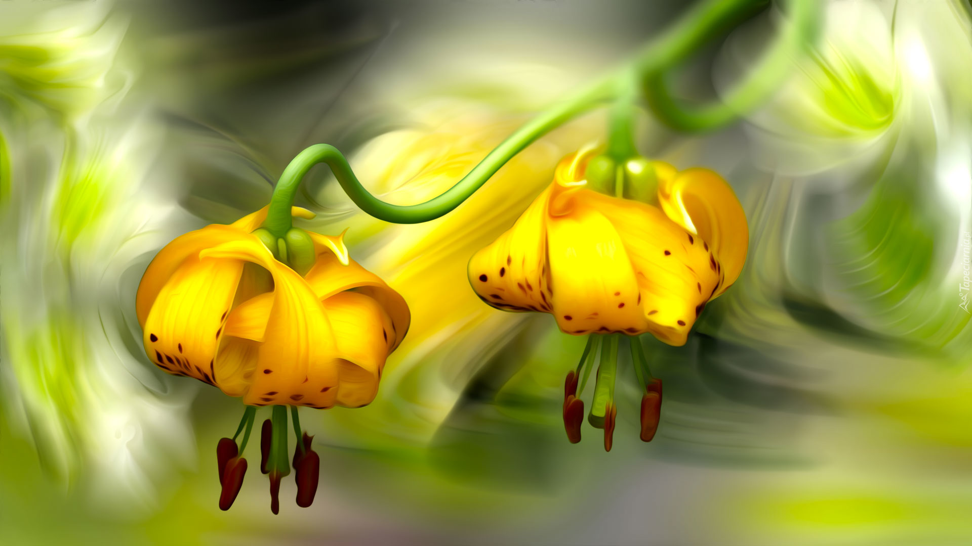Kwiaty, Żółte, Lilie, Grafika