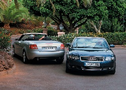 Dwa, Audi A4, Cabrio