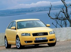 Żółte, Audi A3
