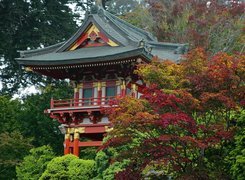 Dom, Złote, Zdobienia, Japonia, Drzewa