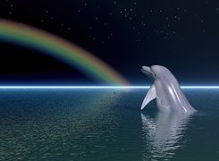 Delfin, Tęcza, Ocean