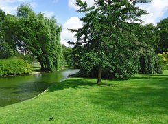 Park, Rzeka, Zieleń