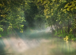 Rzeka, Wędkarz, Poranna, Mgła, Drzewa