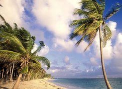Dominikana, Punta Cana, Ocean, Piasek, Palmy
