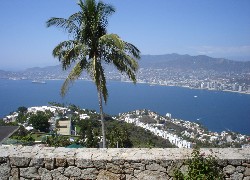 Acapulco, Meksyk, Palma, Woda